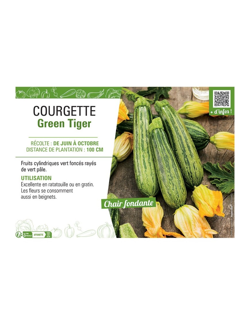 COURGETTE GREEN TIGER