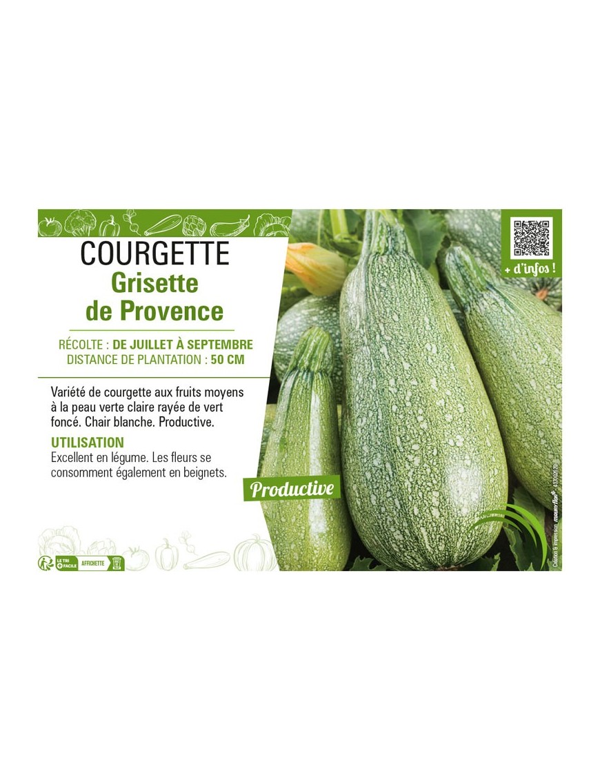 COURGETTE GRISETTE DE PROVENCE