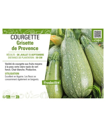 COURGETTE GRISETTE DE PROVENCE