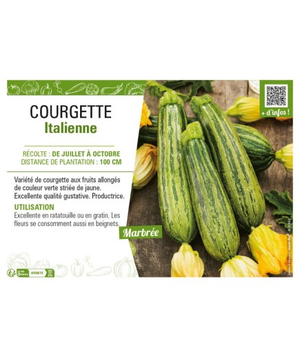COURGETTE ITALIENNE