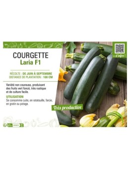 COURGETTE LARIA F1