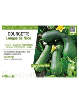 COURGETTE LONGUE DE NICE