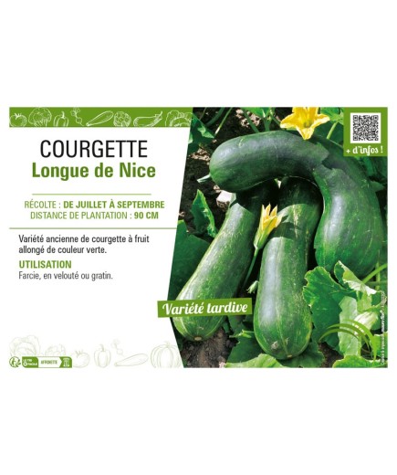 COURGETTE LONGUE DE NICE