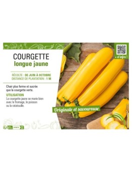 COURGETTE LONGUE JAUNE