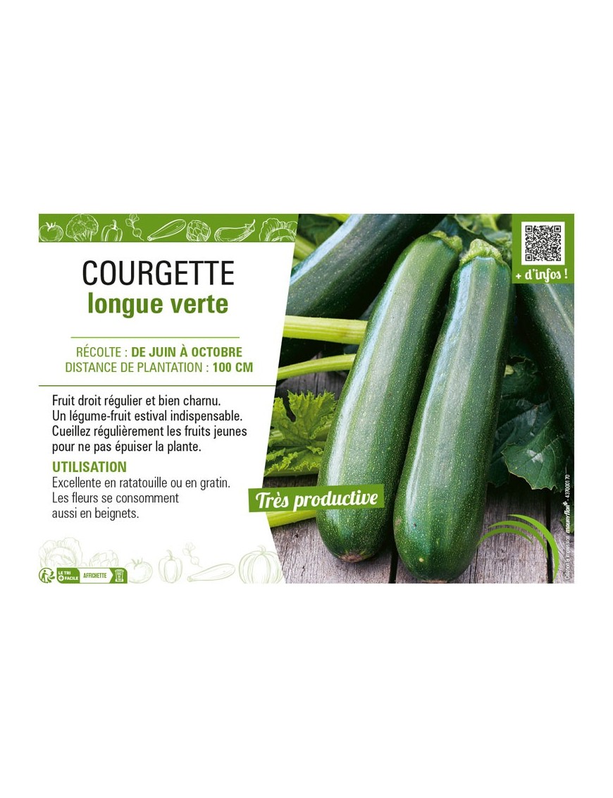 COURGETTE LONGUE VERTE