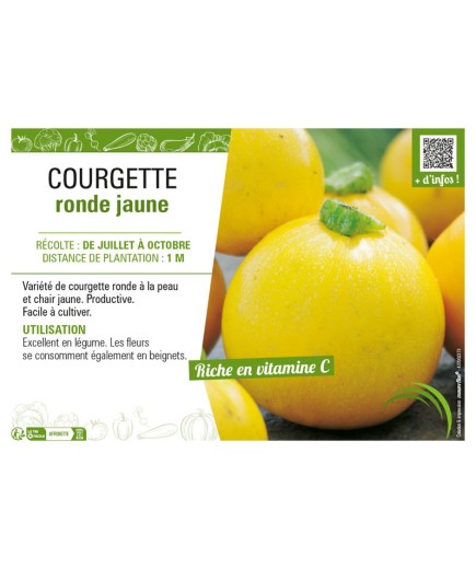 COURGETTE RONDE JAUNE