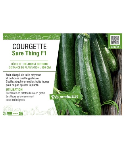 COURGETTE Sure Thing F1