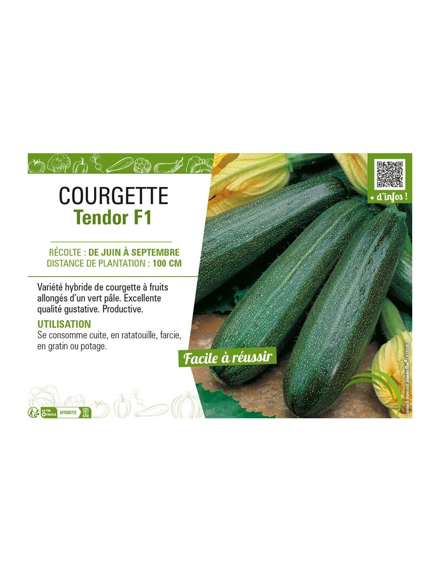 COURGETTE TENDOR F1