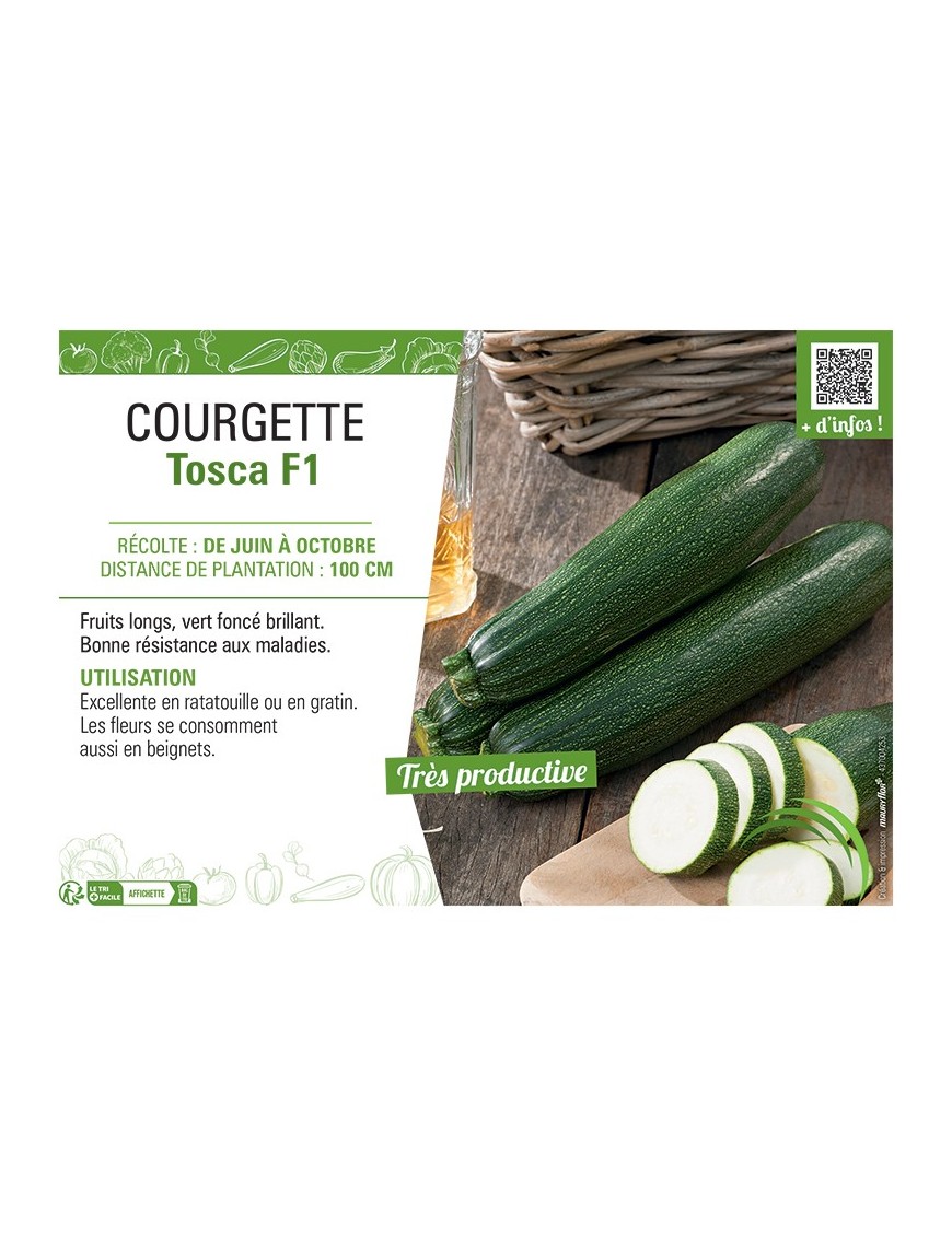COURGETTE TOSCA F1