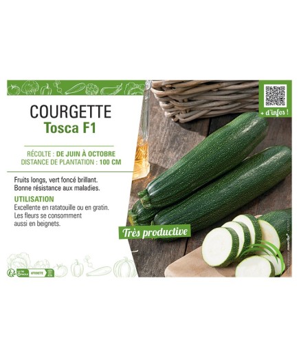 COURGETTE TOSCA F1
