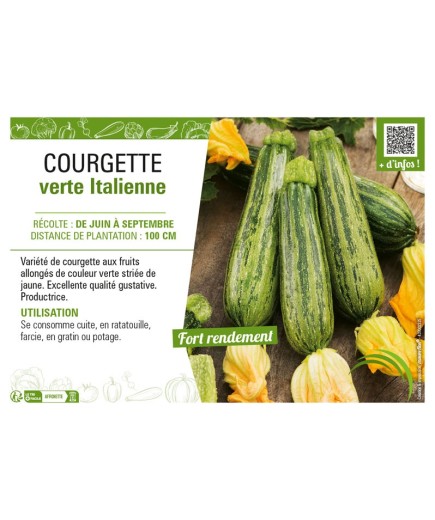 COURGETTE VERTE ITALIENNE