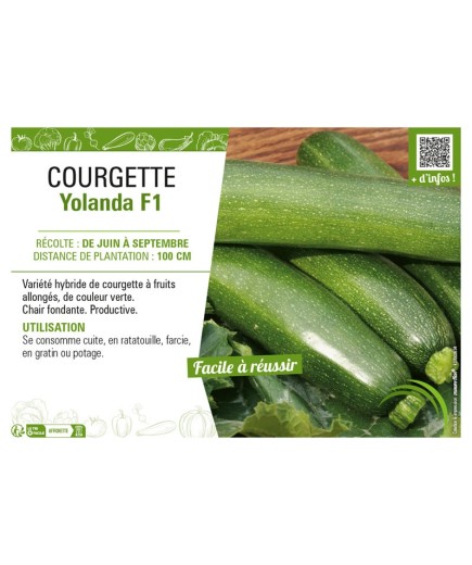 COURGETTE YOLANDA F1