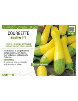 COURGETTE ZEPHYR F1