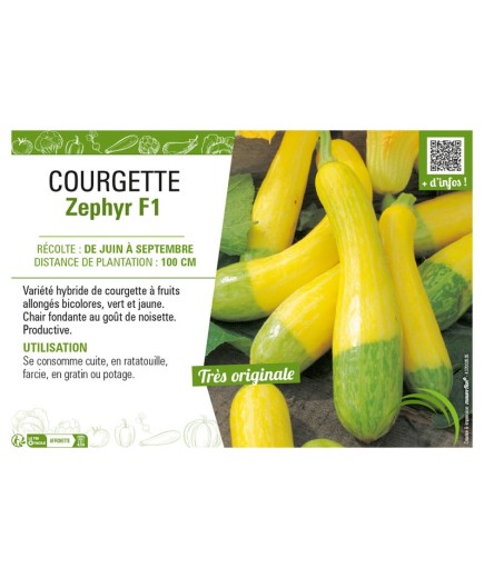 COURGETTE ZEPHYR F1
