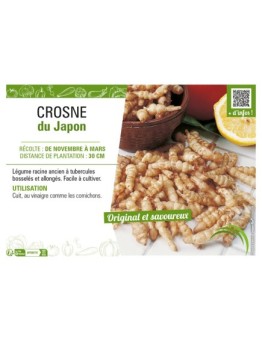 CROSNE DU JAPON