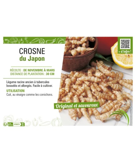 CROSNE DU JAPON