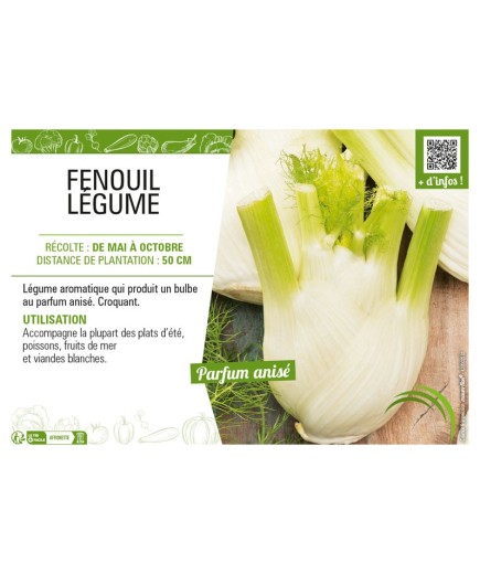 FENOUIL LÉGUME