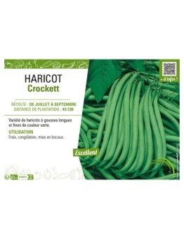HARICOT (NAIN SANS FIL) CROCKETT