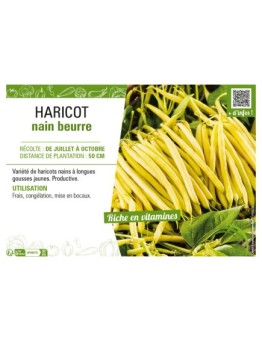 HARICOT NAIN BEURRE