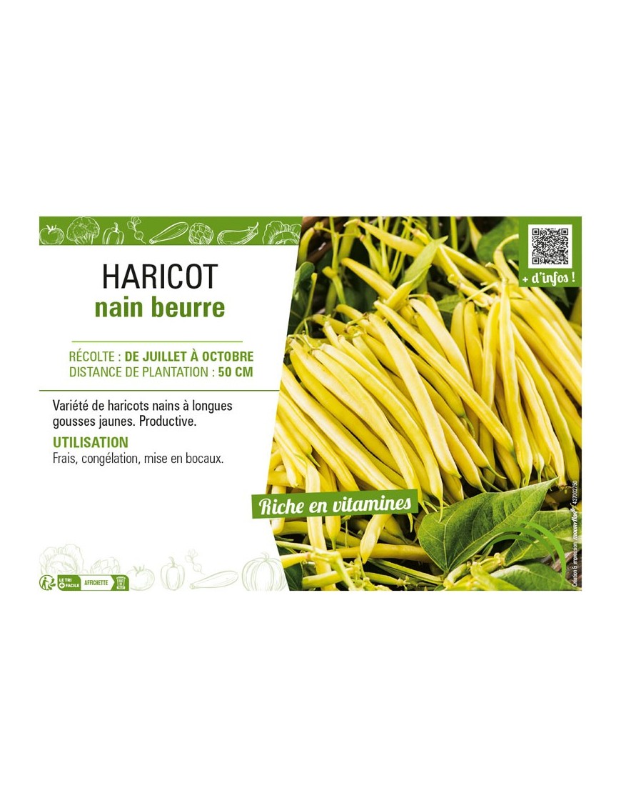 HARICOT NAIN BEURRE