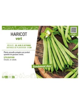 HARICOT VERT