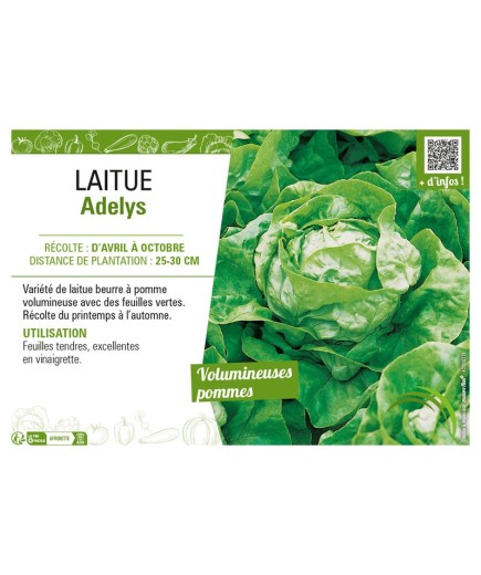 LAITUE ADELYS