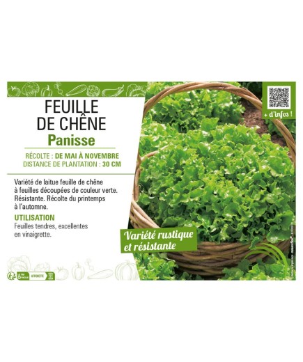 (LAITUE) FEUILLE DE CHÊNE PANISSE
