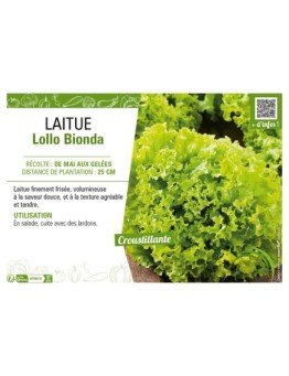 LAITUE (A COUPER) LOLLO BIONDA