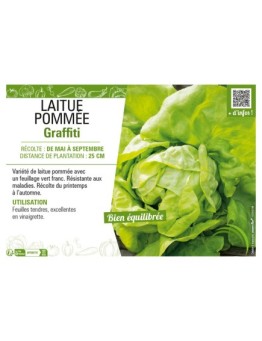 LAITUE POMMÉE GRAFFITI