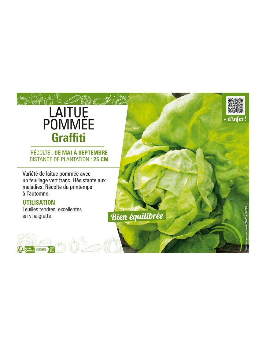 LAITUE POMMÉE GRAFFITI