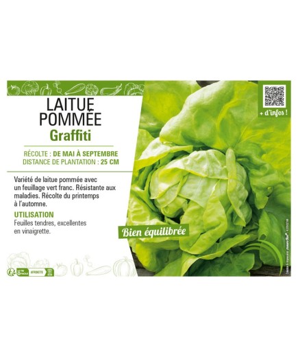 LAITUE POMMÉE GRAFFITI