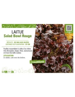 LAITUE (A COUPER) SALAD BOWL ROUGE