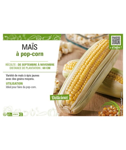 MAÏS À POP-CORN