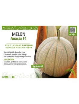 MELON ANASTA F1