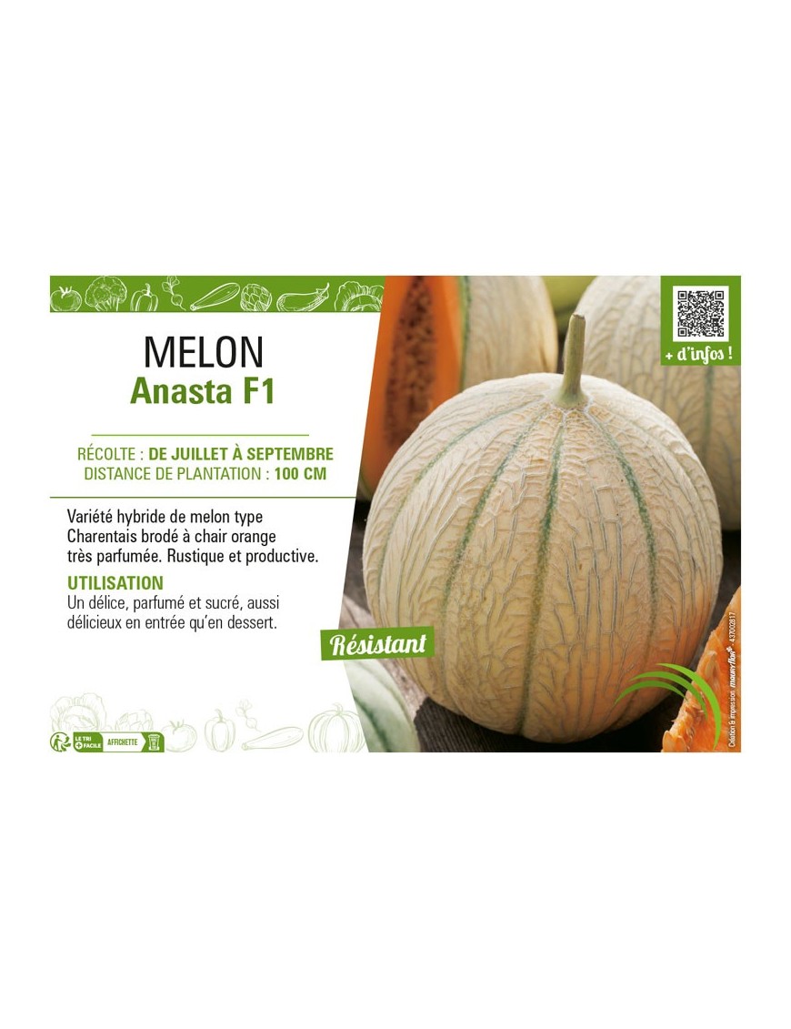 MELON ANASTA F1