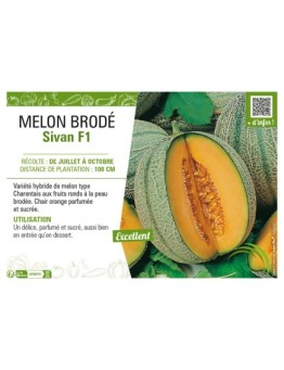 MELON BRODÉ SIVAN F1