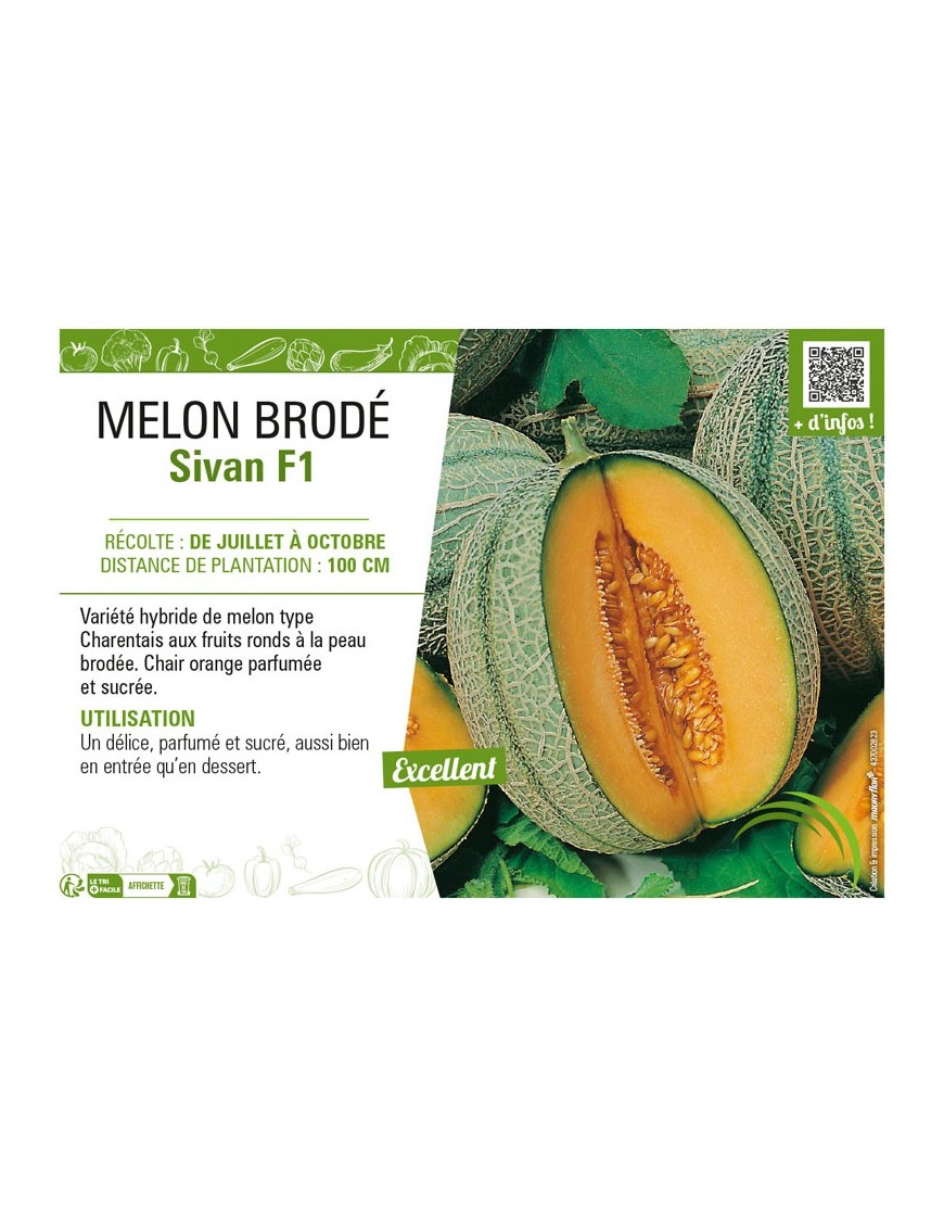 MELON BRODÉ SIVAN F1