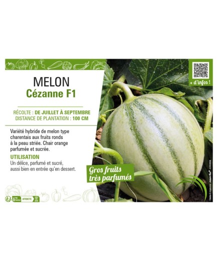 MELON CÉZANNE F1
