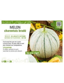 MELON CHARENTAIS BRODÉ