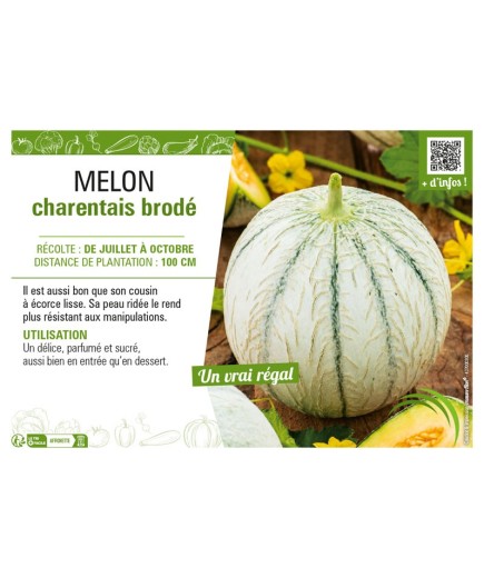 MELON CHARENTAIS BRODÉ
