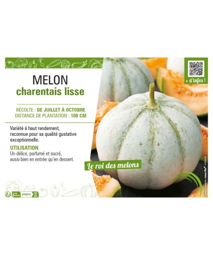 MELON CHARENTAIS LISSE