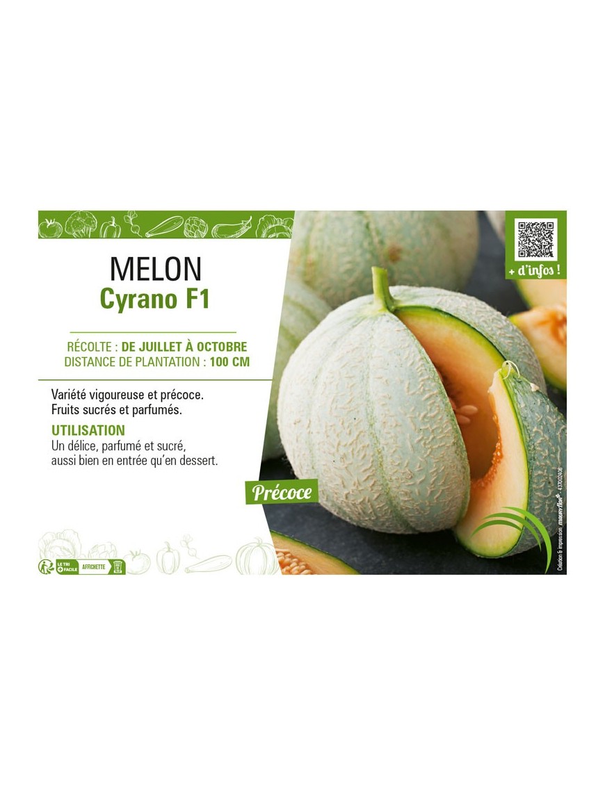 MELON CYRANO F1