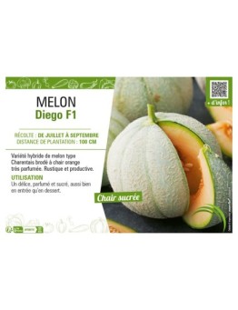 MELON DIEGO F1
