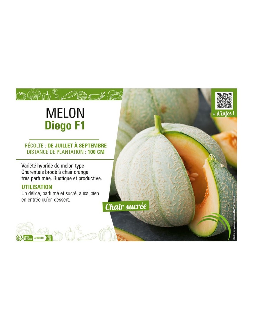 MELON DIEGO F1