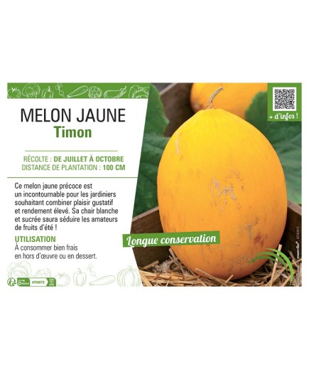 MELON JAUNE TIMON