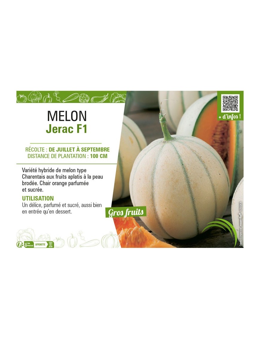 MELON JERAC F1