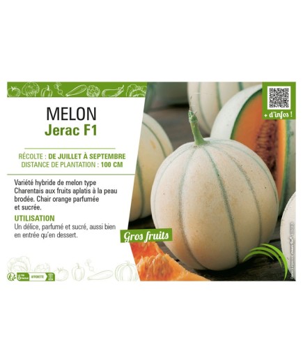 MELON JERAC F1