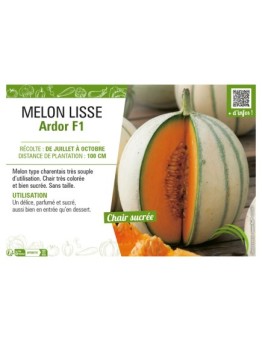 MELON LISSE ARDOR F1