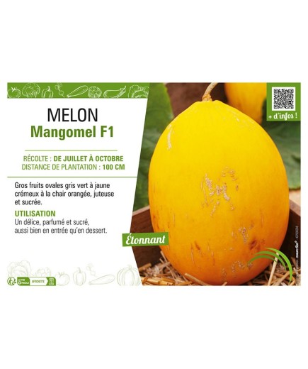 MELON MANGOMEL F1