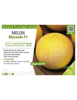 MELON MASSADA F1